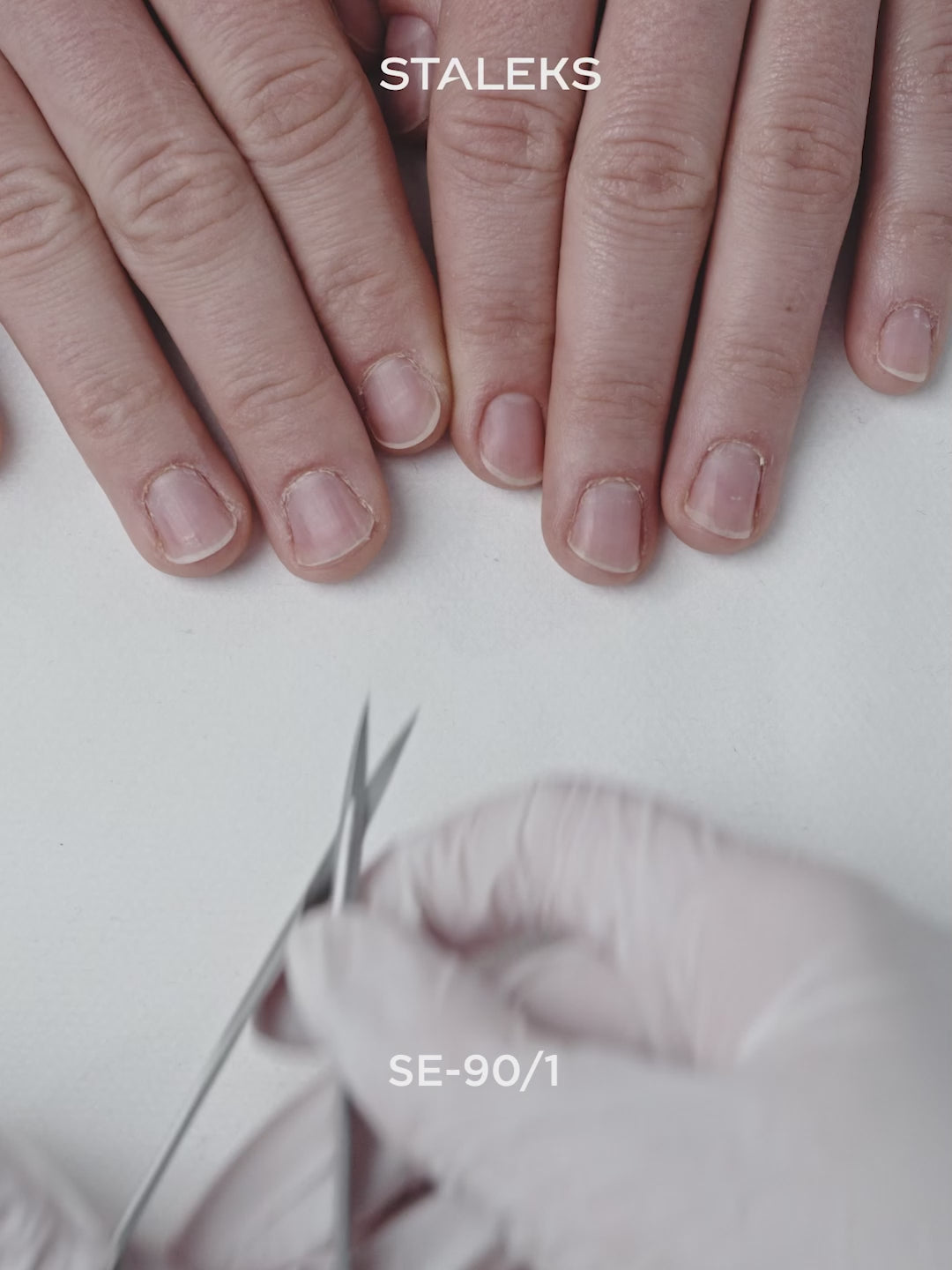 Cargar vídeo: STALEKS EXPERT 90 TYPE 1 Pinzas profesionales para cutículas